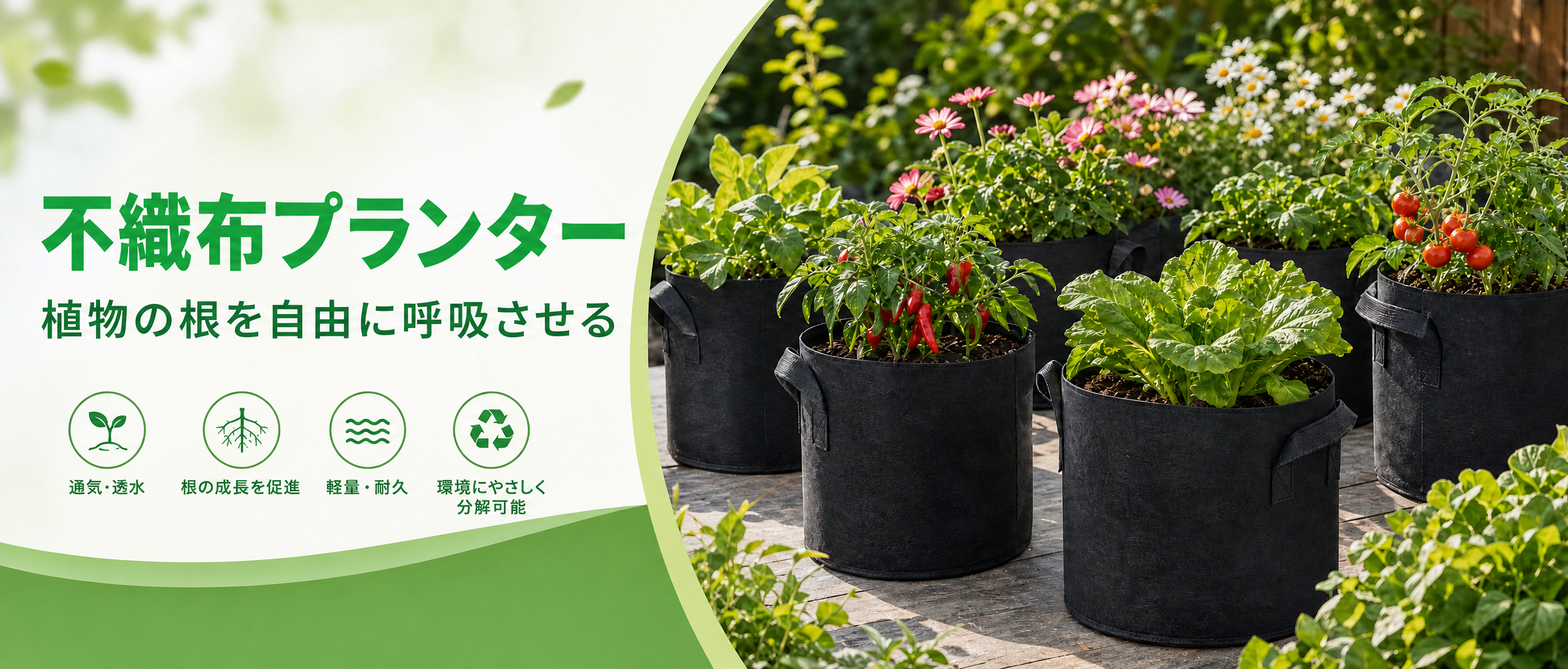 苗圃繁殖・B2B園芸向け不織布プランターのメインビジュアル