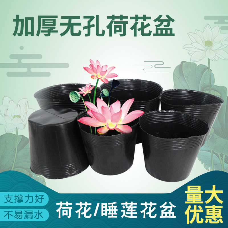 Kunststoff-Teichplanzer fuer Lotus-Aufzucht